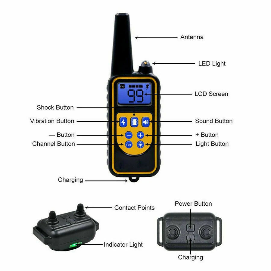 Dual Dog Training Collar Set