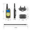 Dual Dog Training Collar Set