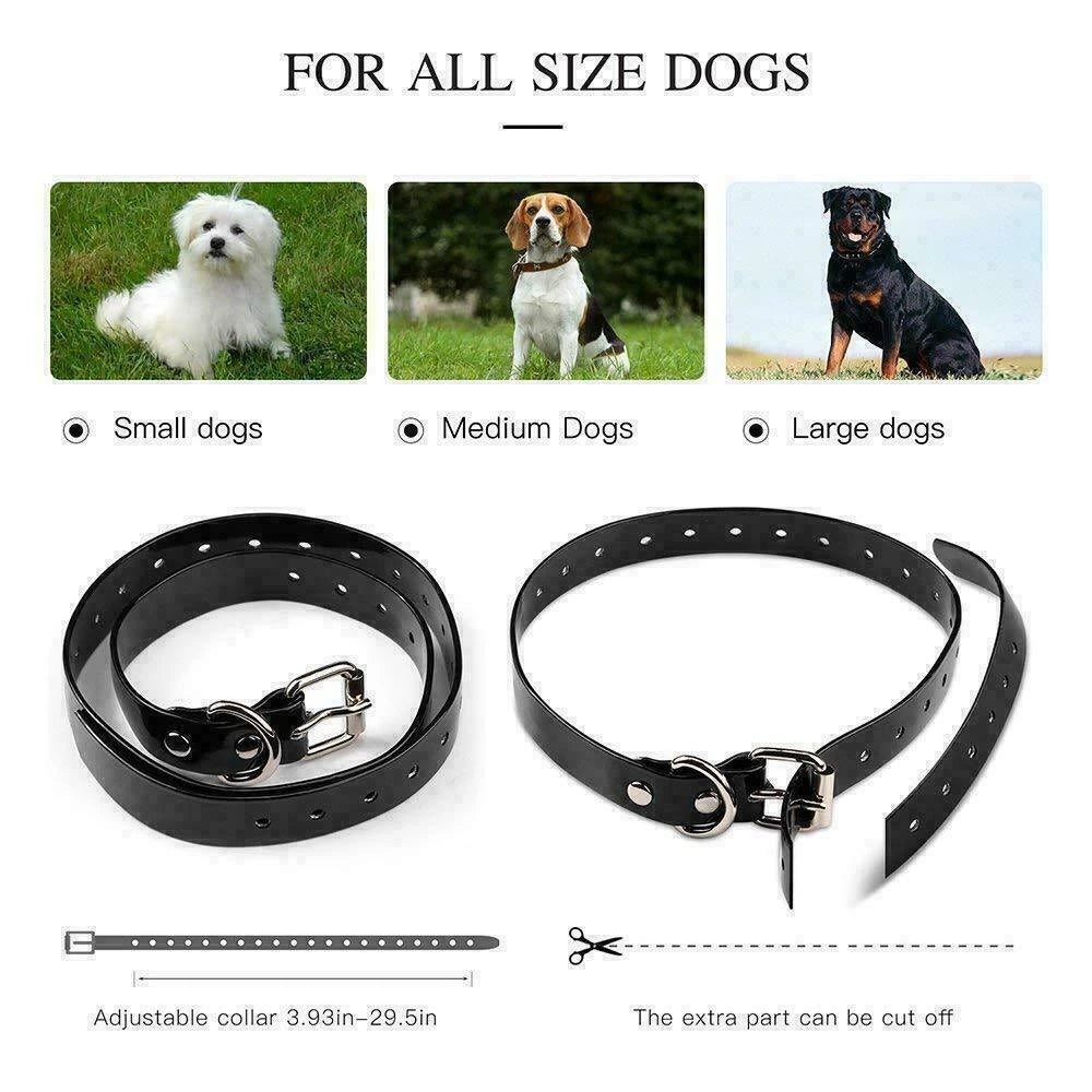 Dual Dog Training Collar Set