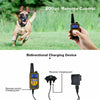 Dual Dog Training Collar Set