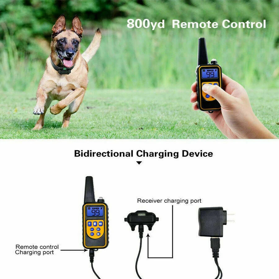 Dual Dog Training Collar Set