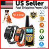 Dual Dog Training Collar Set