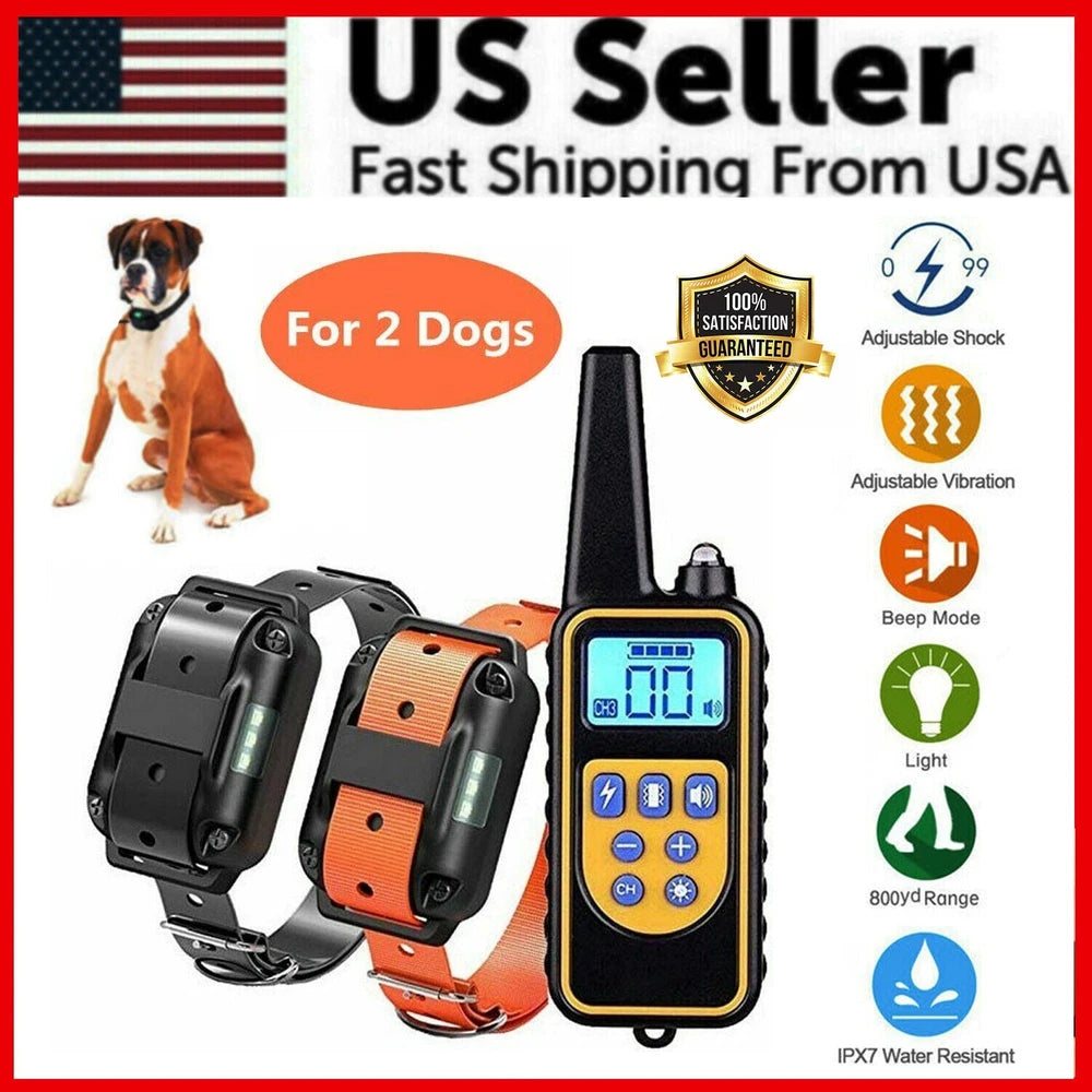 Dual Dog Training Collar Set