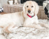 Faux Fur Orthopedic Dog Bed