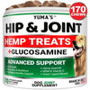 Hemp Glucosamine Joint Supplement for Dogs