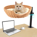 Cat Desk Bed Elevated