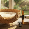 Elevated Bamboo Cat Desk Bed