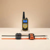 Dual Dog Training Collar Set