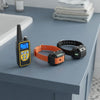 Dual Dog Training Collar Set