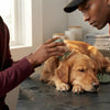 Silicone Pet Bath Brush