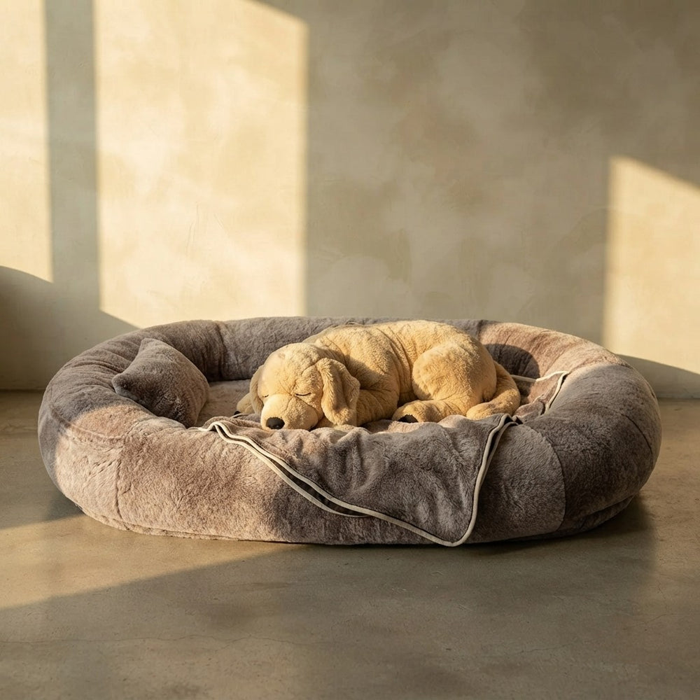 Oversized Human Dog Bed